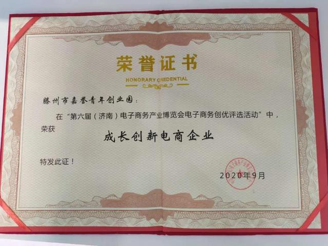 滕州兩企亮相第六屆電商博覽會(huì)，捧回“成長(zhǎng)創(chuàng)新電商企業(yè)”大獎(jiǎng)